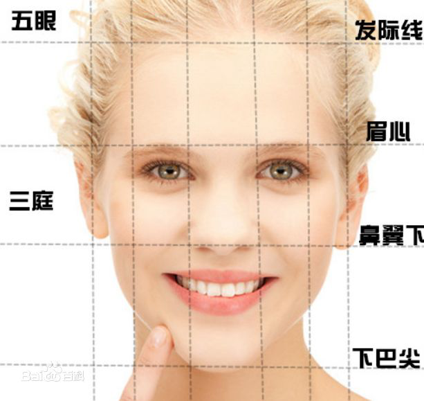 图片13.png 图片13.png