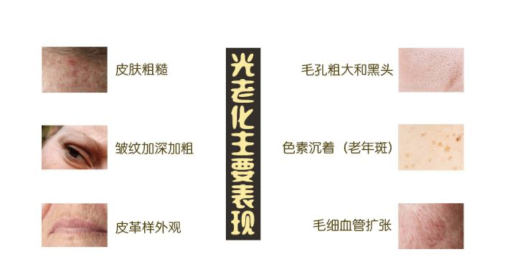 2.png 2.png