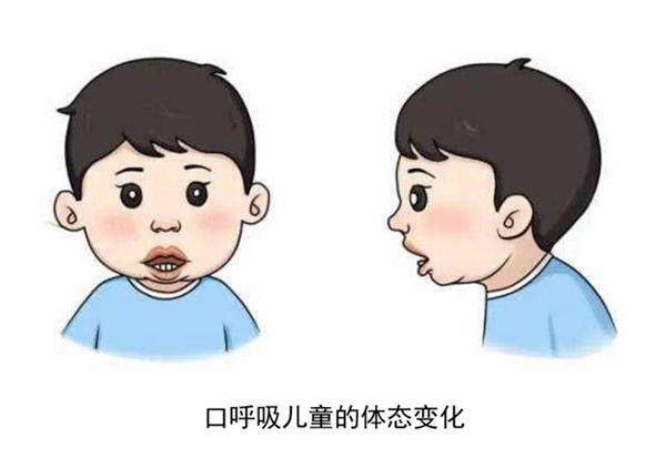 图片 3.jpg 图片 3.jpg