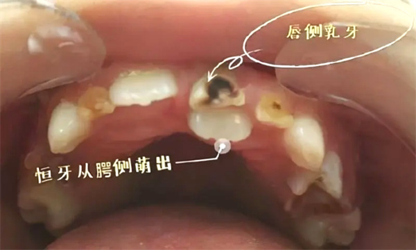 图片 49.jpg 图片 49.jpg