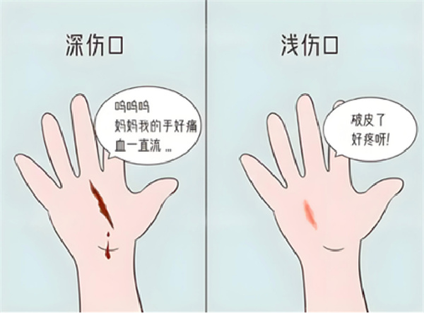 图片 95.jpg 图片 95.jpg